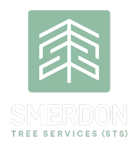 Smerdon Tree Services | Expert Arborists in South Wales