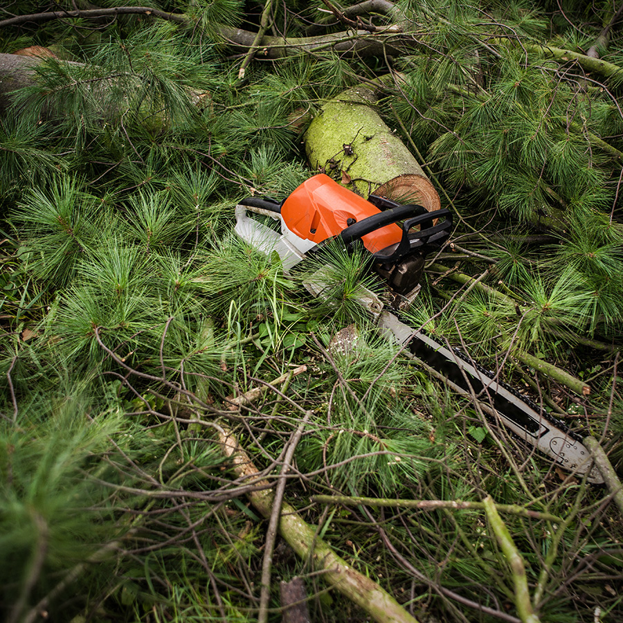 Smerdon Tree Services | Expert Arborists in South Wales